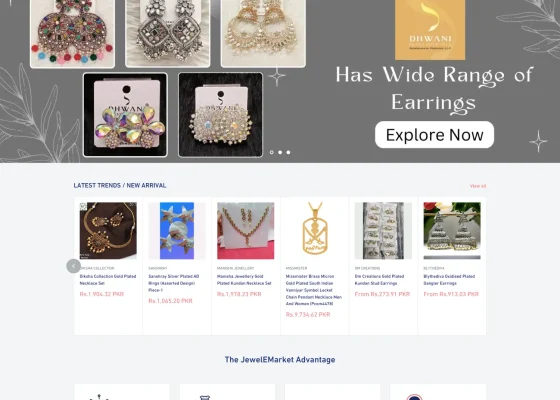 Wide Range Of Earings Portfolio Dgtlnow Portfoliio