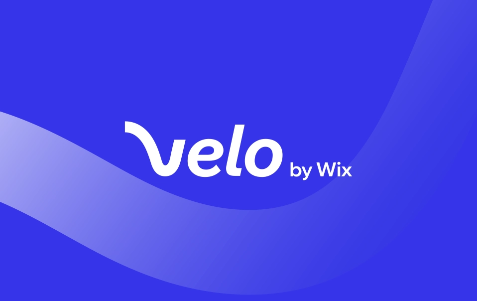 Velo by Wix services